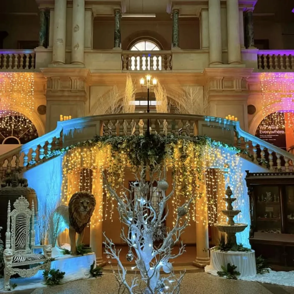 Christmas parties at Bristol Museum and Art Gallery